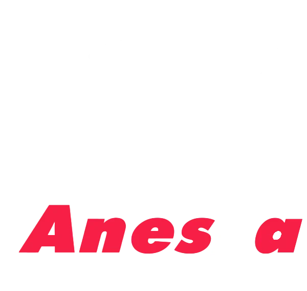 Aneska Dance Logo - Professional Dance Studio in Los Angeles